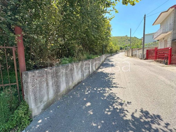 terreno agricolo in vendita a Domicella