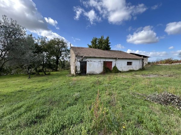 casa indipendente in vendita a Fontanarosa