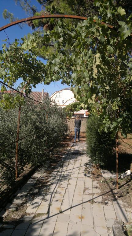 appartamento in vendita a Fontanarosa