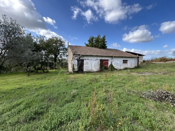 casa indipendente in vendita a Fontanarosa
