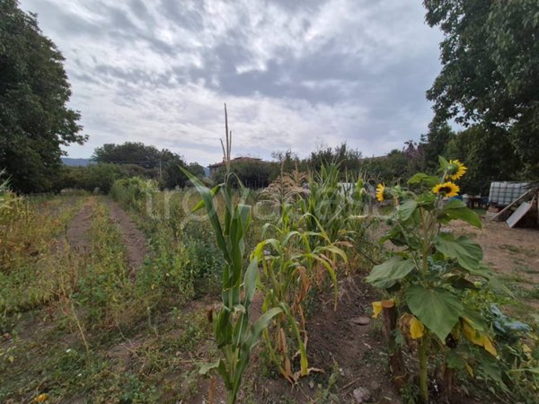terreno agricolo in vendita a Forino