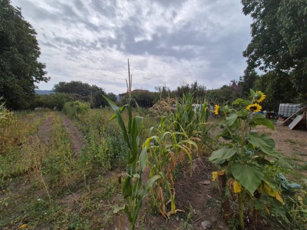 terreno agricolo in vendita a Forino