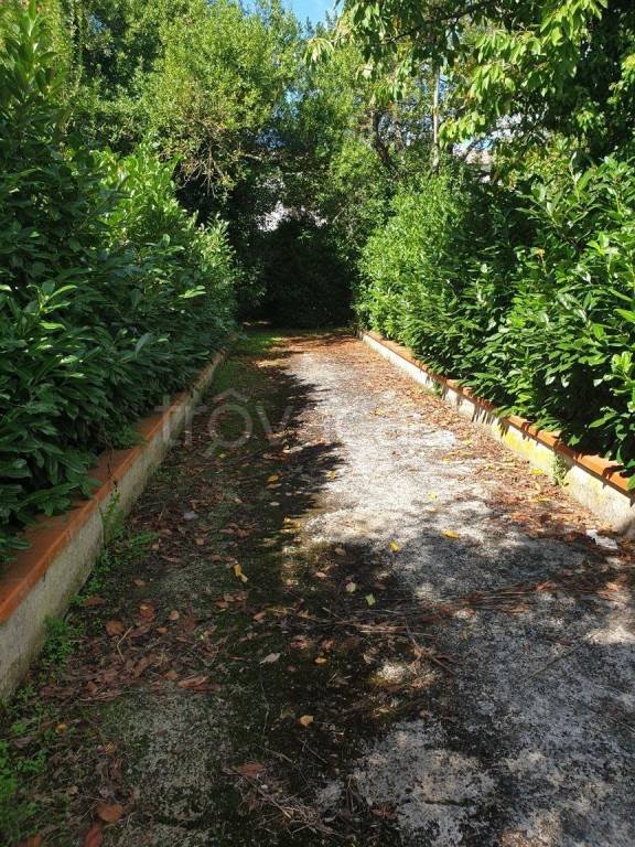 casa indipendente in vendita a Forino in zona Petruro
