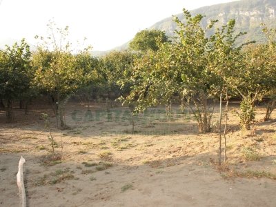 terreno agricolo in vendita a Forino