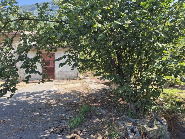 terreno agricolo in vendita a Forino in zona Petruro