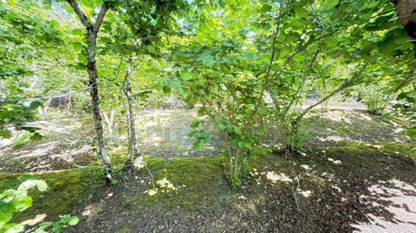 terreno agricolo in vendita a Forino