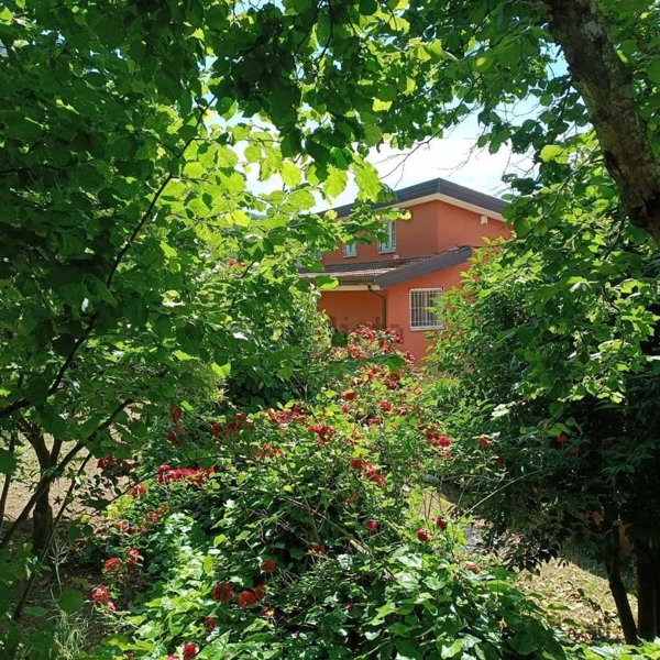 casa indipendente in vendita a Forino