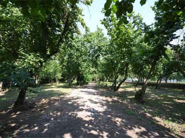 intera palazzina in vendita a Forino