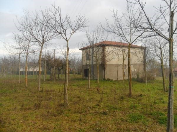 casa indipendente in vendita a Gesualdo