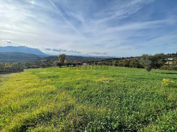 terreno agricolo in vendita a Gesualdo