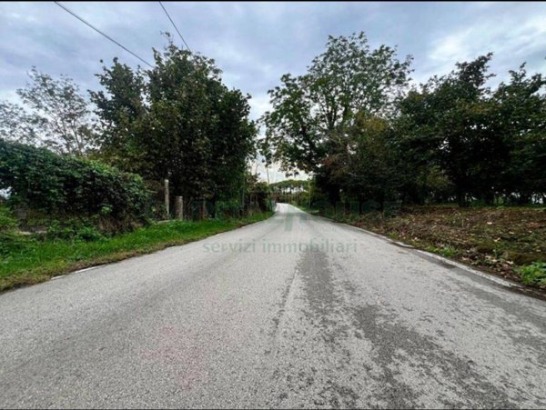 terreno agricolo in vendita a Greci