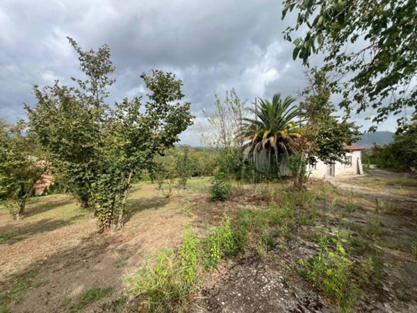 casa indipendente in vendita a Greci