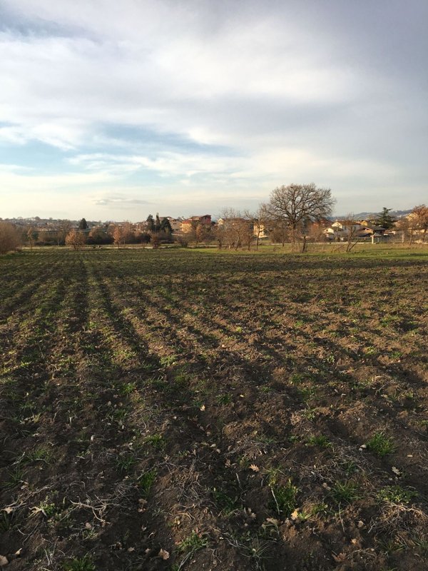 terreno edificabile in vendita a Grottaminarda