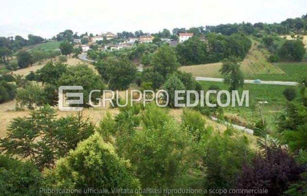 terreno agricolo in vendita a Grottaminarda