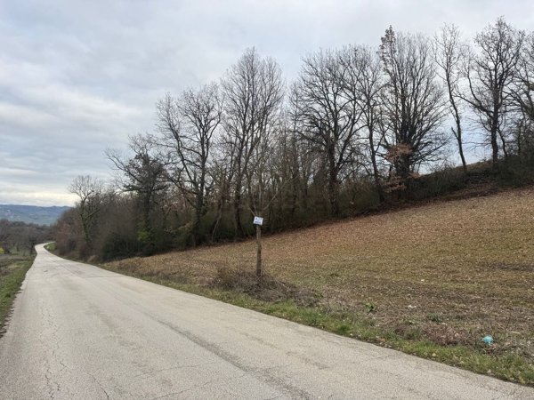 terreno agricolo in vendita a Grottaminarda