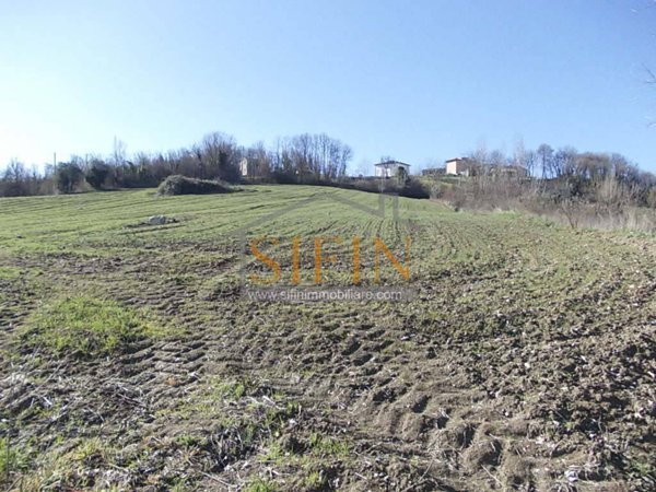 terreno agricolo in vendita a Grottaminarda in zona Carpignano