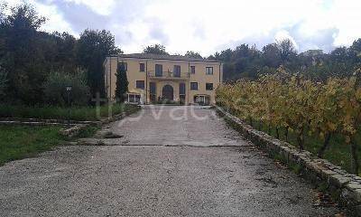 negozio in vendita a Grottolella