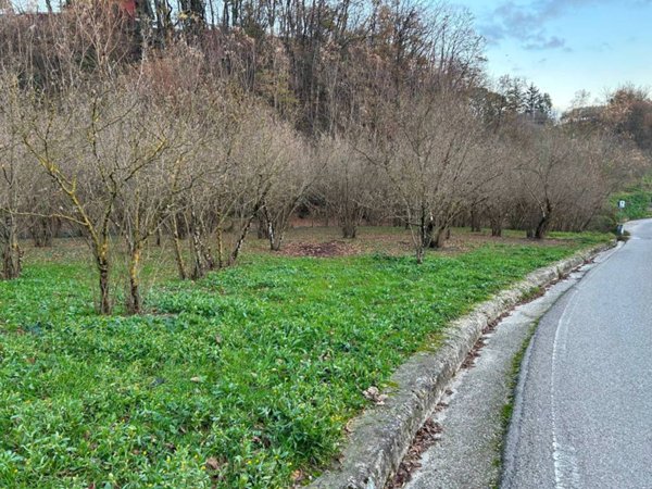 terreno agricolo in vendita a Grottolella in zona Pozzo del Sale