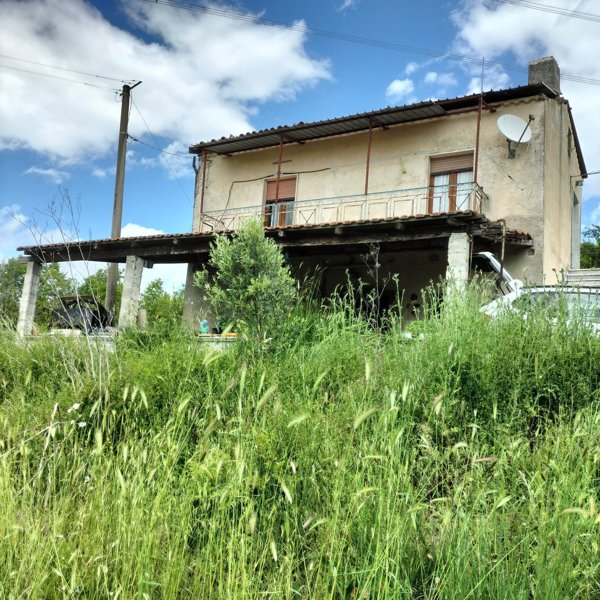 esavano in vendita a Guardia Lombardi