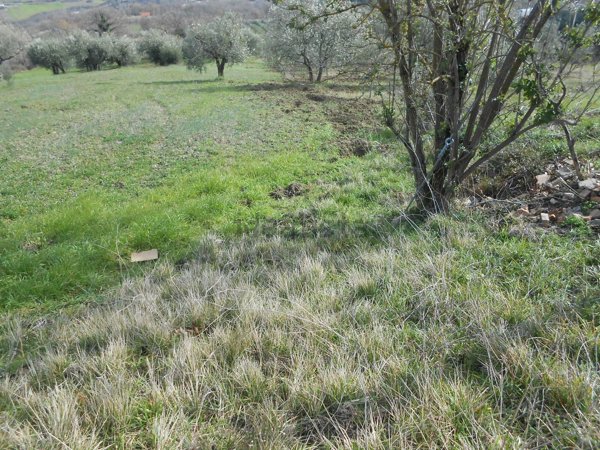 terreno in vendita a Lapio