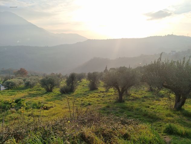 terreno in vendita a Lapio