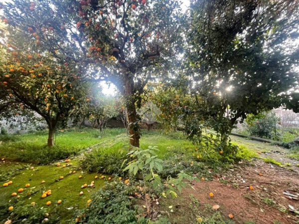 casa indipendente in vendita a Lauro