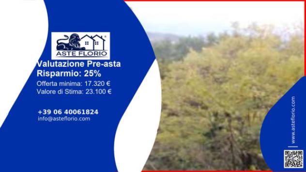 terreno agricolo in vendita a Lioni