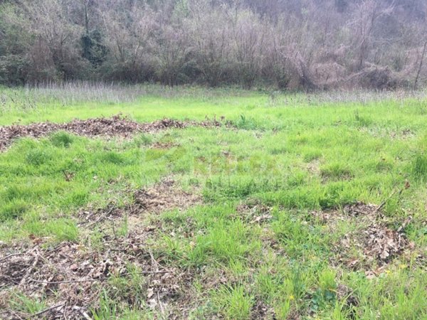 terreno agricolo in vendita a Manocalzati in zona San Barbato