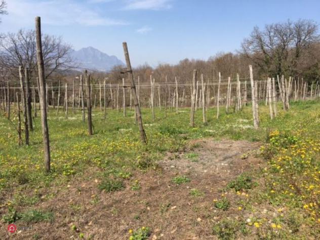 terreno agricolo in vendita a Manocalzati