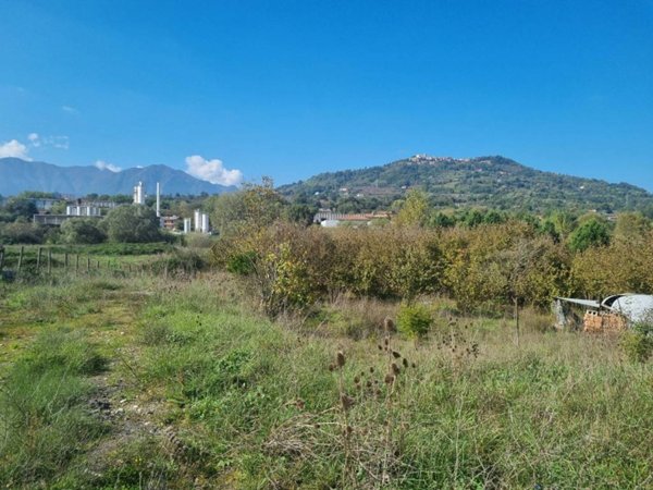 immagine annuncio 0 di 1