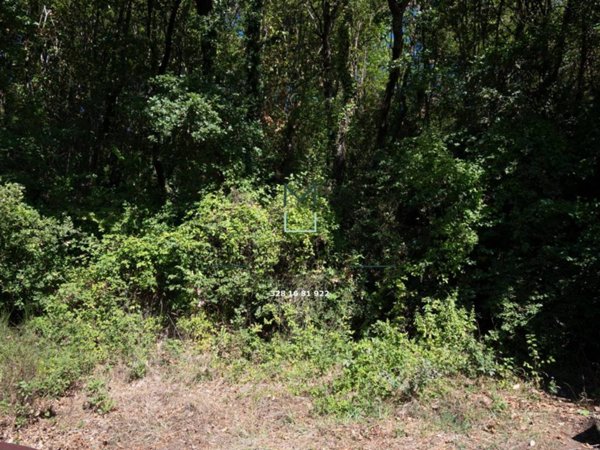 terreno agricolo in vendita a Manocalzati