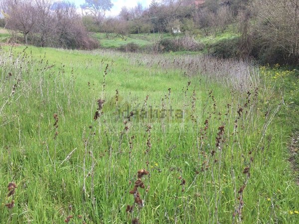 terreno agricolo in vendita a Manocalzati in zona San Barbato