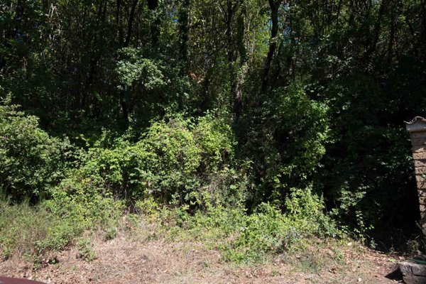 terreno agricolo in vendita a Manocalzati