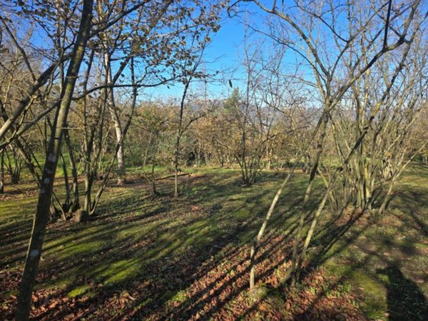terreno agricolo in vendita a Manocalzati
