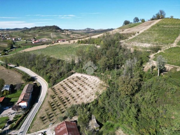 terreno agricolo in vendita ad Alba