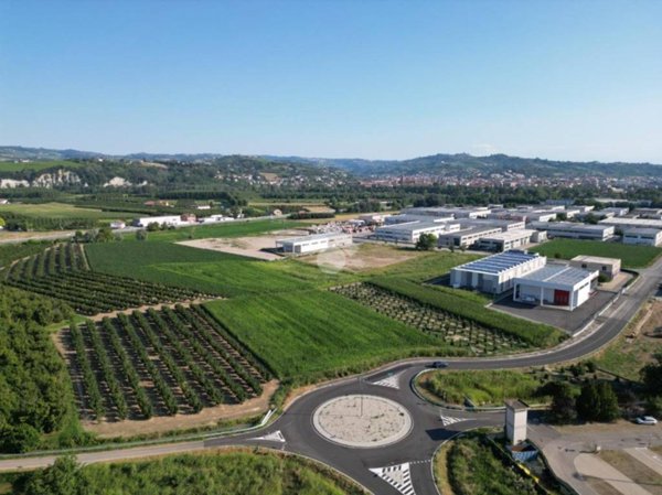 terreno agricolo in vendita ad Alba