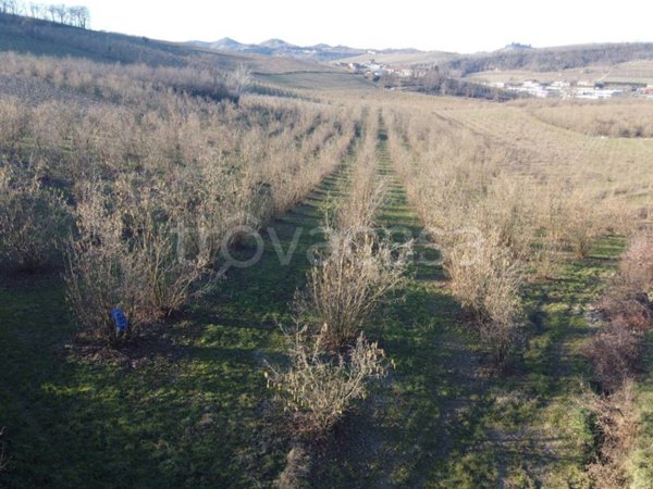 terreno agricolo in vendita ad Alba in zona Mussotto