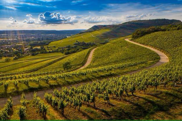 terreno agricolo in vendita ad Alba