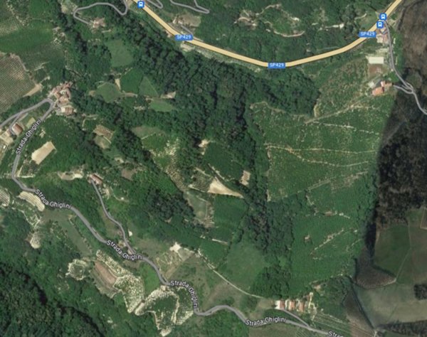 terreno agricolo in vendita ad Alba