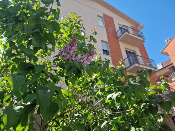 appartamento in vendita ad Alba