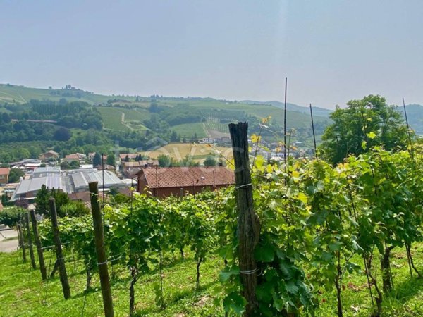 terreno agricolo in vendita ad Alba