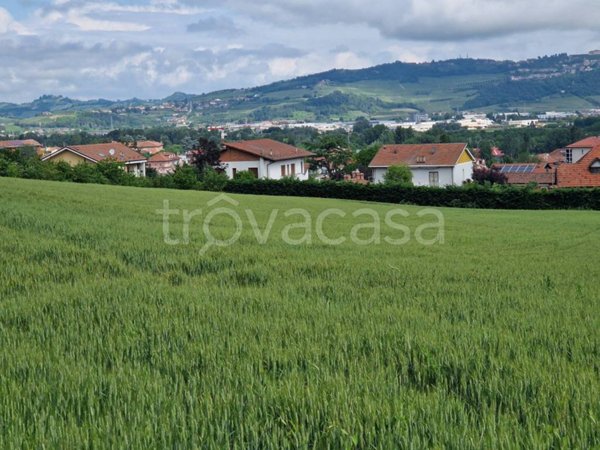 terreno agricolo in vendita ad Alba