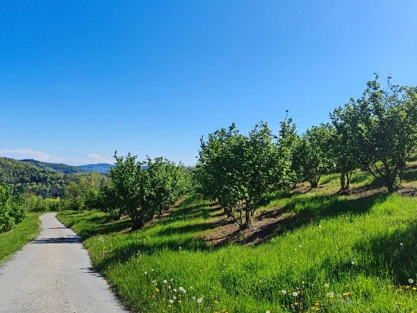 locale di sgombero in vendita ad Alba