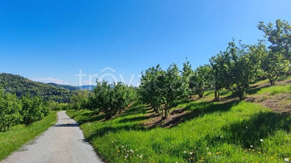 ufficio in vendita ad Alba