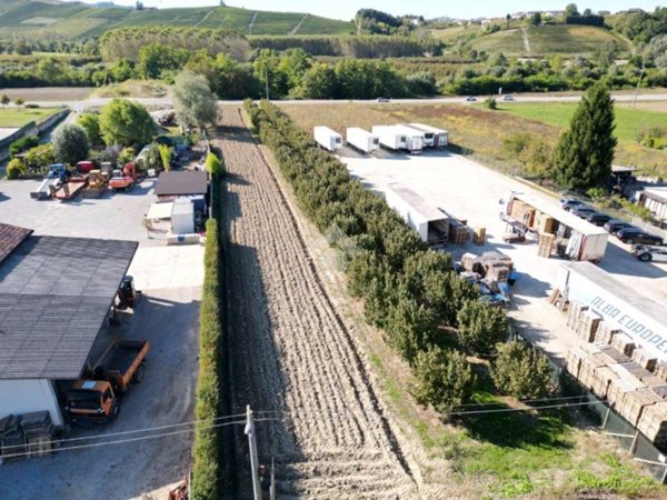 terreno agricolo in vendita ad Alba