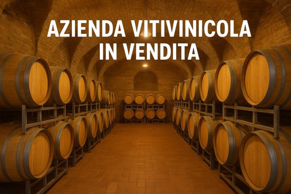 azienda agricola in vendita ad Alba