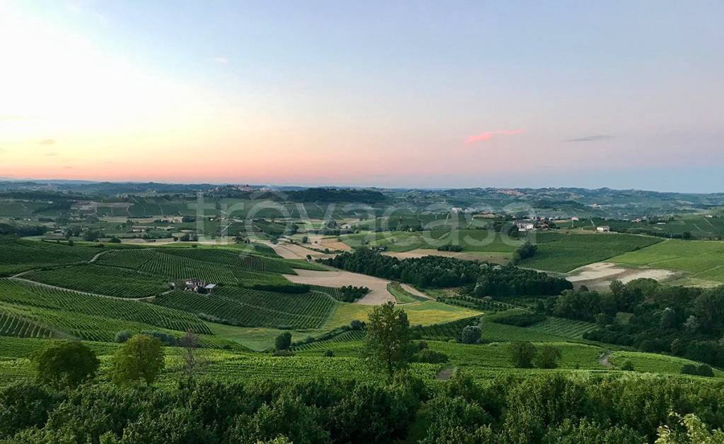 terreno agricolo in vendita ad Alba
