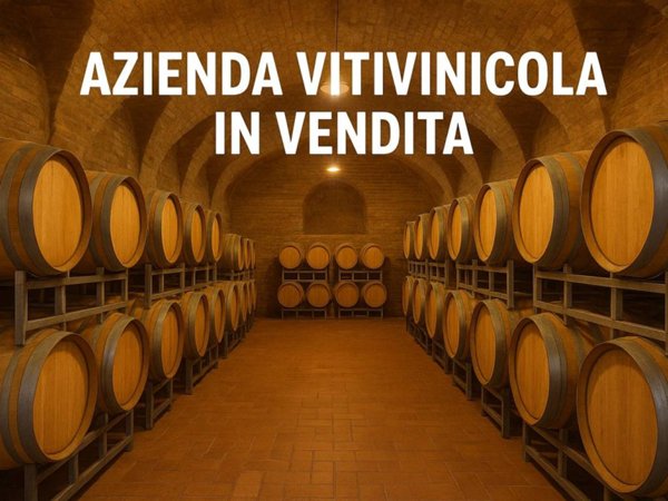 negozio in vendita ad Alba