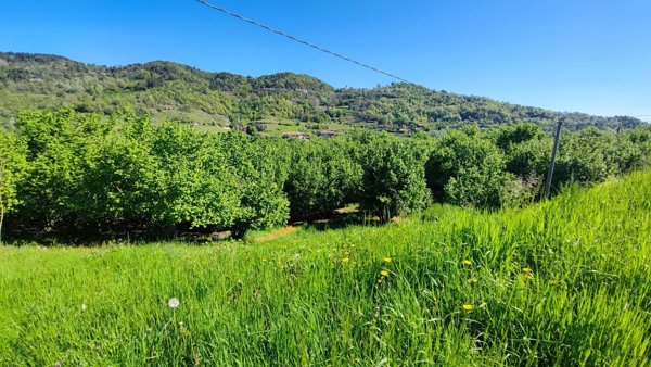 locale di sgombero in vendita ad Alba
