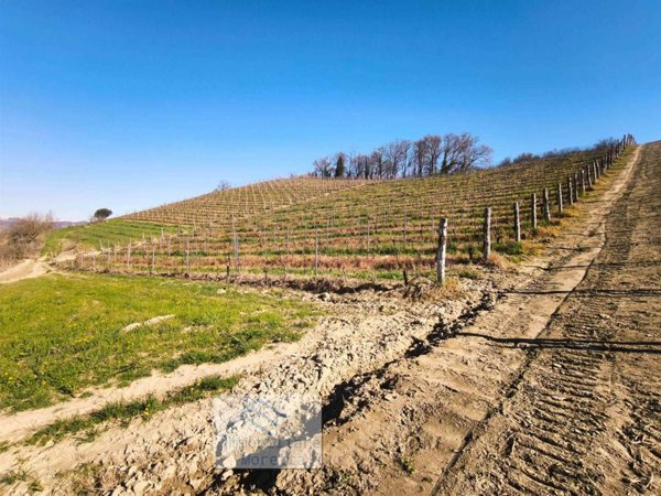 terreno agricolo in vendita ad Alba